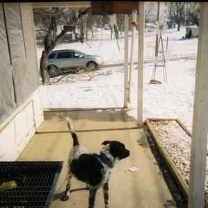 Meet your Posher, Philip